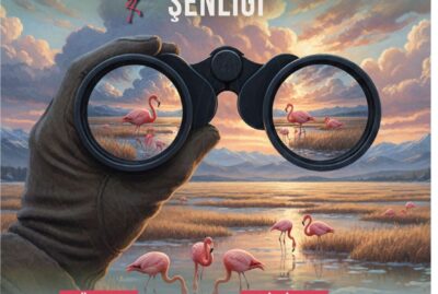 3. Flamingo Şenliği