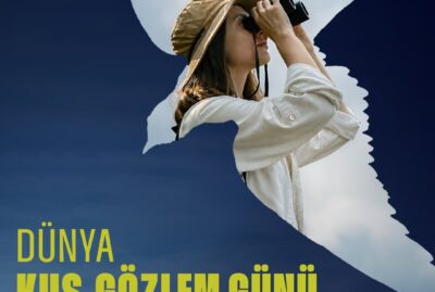 Dünya Kuş Gözlem Günü