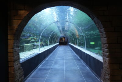 Körfez Aqua Kıtalar Akvaryumu (Kocaeli Akvaryumu)