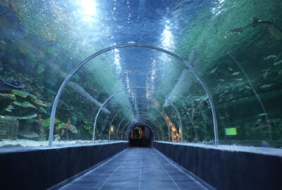 Körfez Aqua Kıtalar Akvaryumu (Kocaeli Akvaryumu)